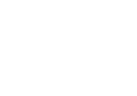 Firesystem Logo
